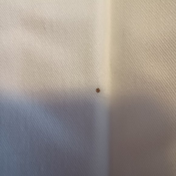 Women's Worthington White Dress Bermuda Shorts. Modern Fit. - Picture 9 of 9